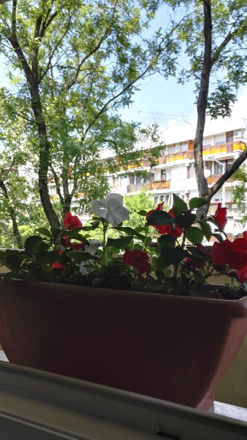 Csipke Apartman Makó Buitenkant foto